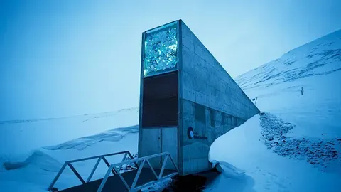 El olivo en el búnker postapocalítico de Svalbard