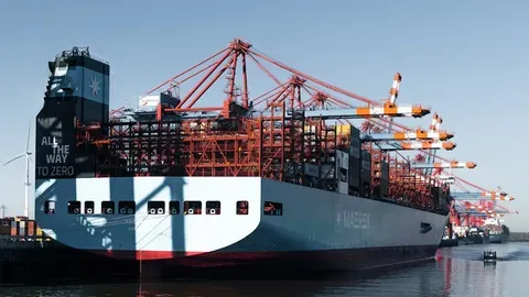 Maersk enfrenta una caída en sus beneficios, pero mantiene sus expectativas