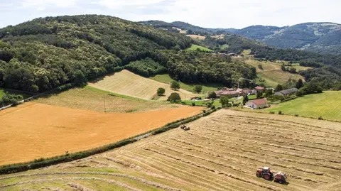 Protestas Agrarias en Francia: La Lucha de los Agricultores por la Sostenibilidad Económica