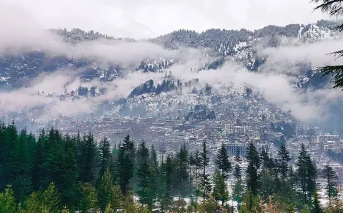 El viaje de Terence Tao, el mejor matemático vivo del mundo