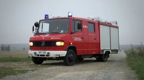Los Burros Bomberos de Doñana: Una Solución Innovadora Contra Incendios