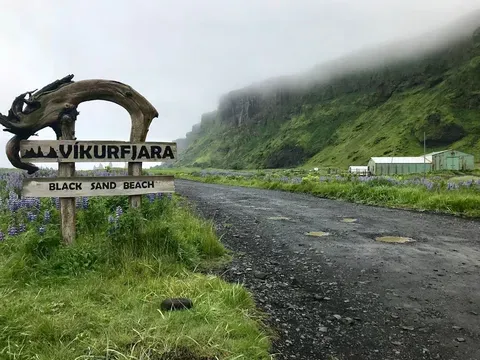 Desafíos y Oportunidades en el Ecosistema Global Actual