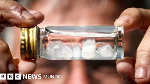 Las picaduras más dolorosas del mundo