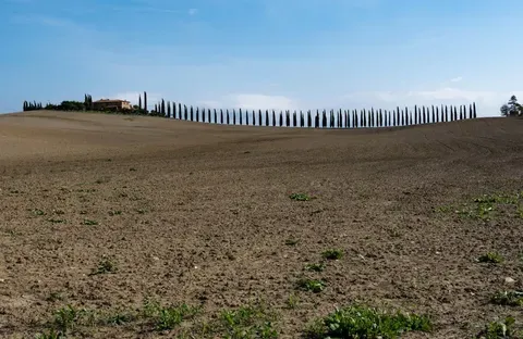 El Francés Gusta en Kazajistán: Impulso de la Primavera de la Francofonía