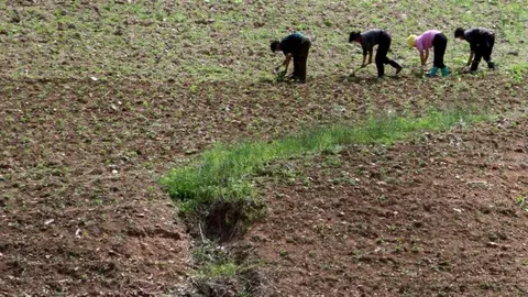 Corea del Norte enfrenta una sequía sin precedentes