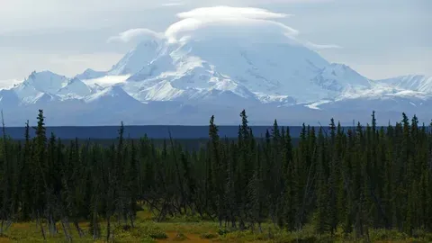 Megatsunami en Alaska: Un acontecimiento sorprendente