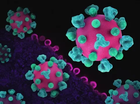España acoge al médico del MV Hondius afectado por hantavirus