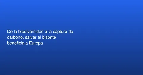 Desafíos y Oportunidades de la Inteligencia Artificial en el Mundo Actual