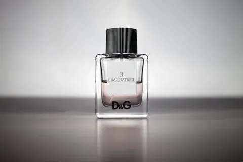 Stefano Gabbana deja Dolce & Gabbana en un momento crítico para la empresa