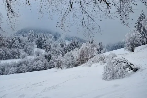 Un Retorno Inesperado del Invierno en Moscú: Un Fenómeno Meteorológico Singular