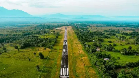 La Artista que Consume Tierra y Anima a Hacerlo
