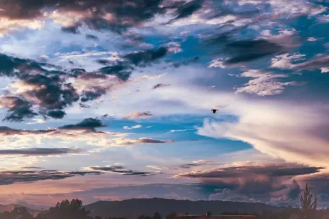 El Festival Internacional de Cometas de Berck-sur-Mer