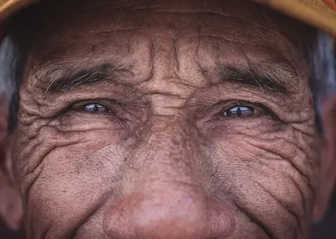 El papel del intestino en la salud cerebral y la memoria