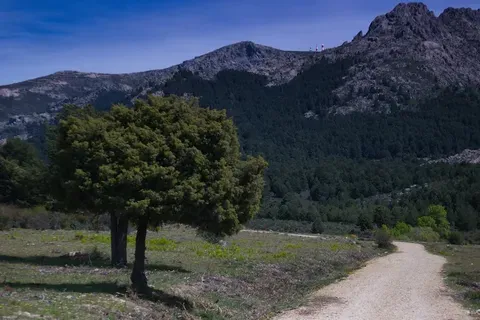 Detención del líder de la Camorra, Roberto Mazzarella, en un lujoso complejo turístico de Vietri sul Mare