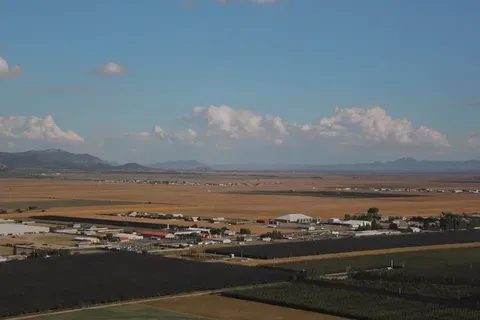 Destrucción de campos de amapola de opio en Pakistán
