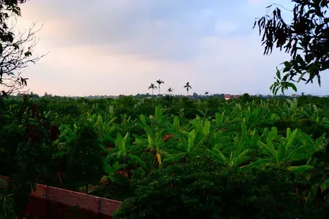 Kim Jong-un se ausenta del mausoleo de Kim Il-sung en su natalicio