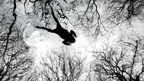 Impresionantes Fotos de la Naturaleza en los British Wildlife Photography Awards 2026