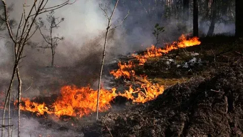 Los incendios en Chernóbil reavivan temores radiactivos