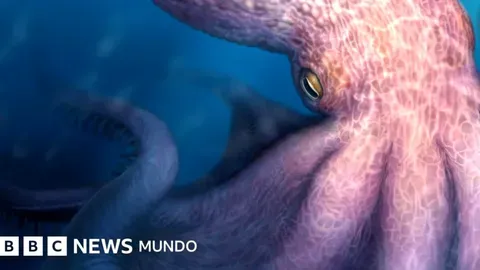 El pulpo carnívoro de 19 metros que acechaba los antiguos océanos
