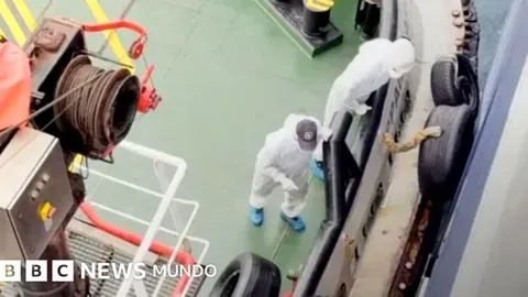 Identificación de la cepa andina de hantavirus en brote mortal a bordo de crucero argentino