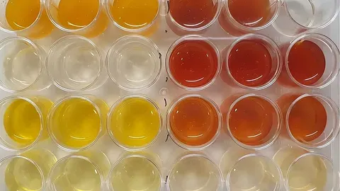 La bacteria que puede limpiar campos de batalla