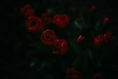 El auge de Europa como destino preferente para el talento en IA