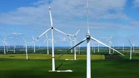 Europa enfrenta una nueva sacudida energética y la ONU urge a acelerar la transición verde