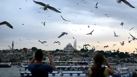 Capitán de fútbol rescató a una gaviota con RCP en Estambul