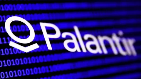 La controversia de Palantir y su manifiesto político