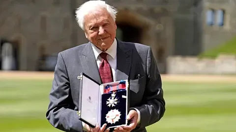 Celebración del Centenario de David Attenborough: Artistas y Programación Musical