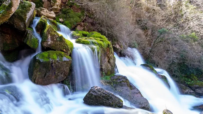 El Impacto de la Gira de Céline Dion en el Turismo de París