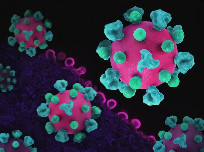 Brote de Hantavirus: Implicaciones de Salud Pública en Cruceros