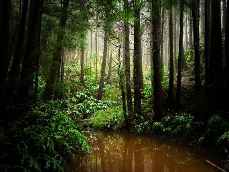 Miguel Ángel y Rodin en el Louvre