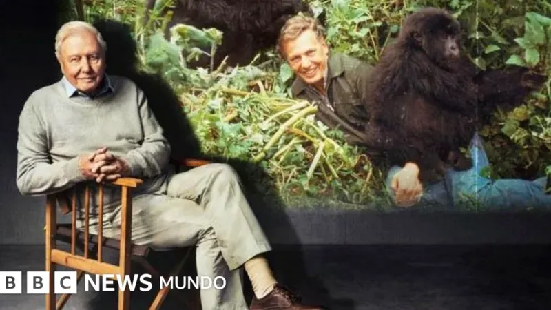 David Attenborough cumple 100 años: La vida en la Tierra