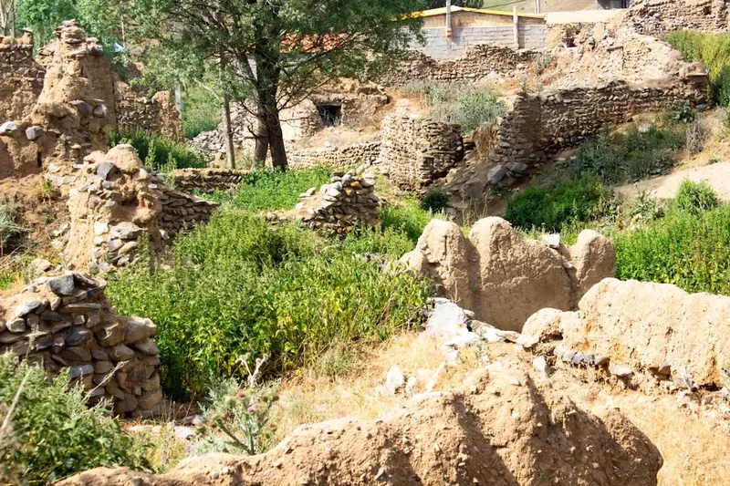 Descubrimiento Arqueológico en Egipto: Una Momia con Fragmentos de la 'Ilíada'