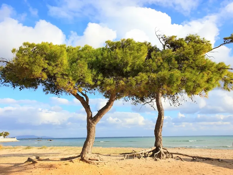 Artemis II: Centros Espaciales y Bases de Lanzamiento que Debes Conocer