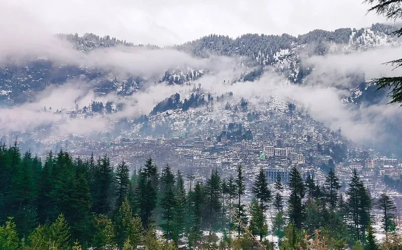 El viaje de Terence Tao, el mejor matemático vivo del mundo