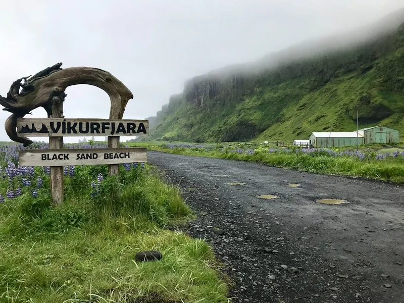 Desafíos y Oportunidades en el Ecosistema Global Actual