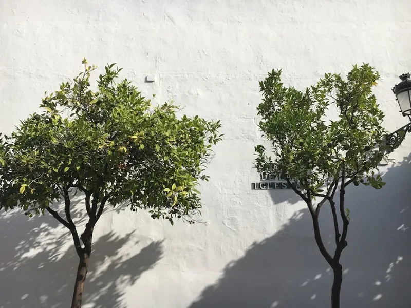 Inteligencia Artificial y Desigualdad Educativa en Mozambique: Un Horizonte en Construcción