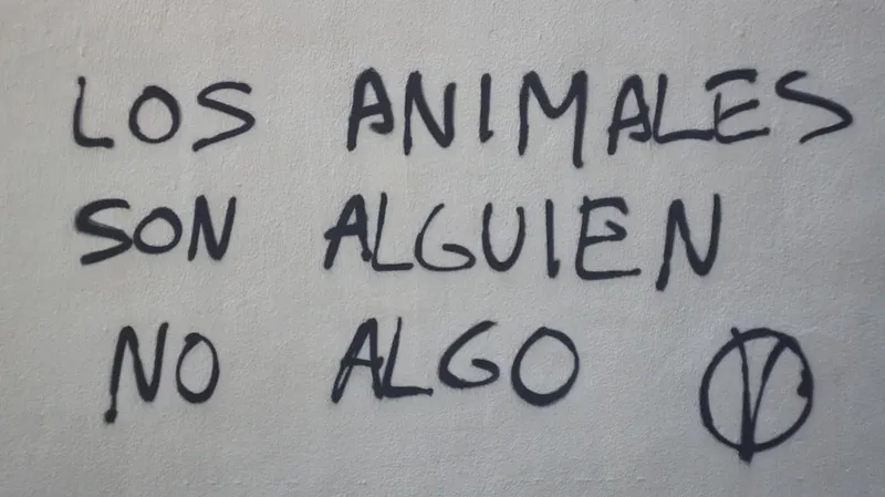 Las reinas de abejorro pueden respirar hasta una semana bajo el agua