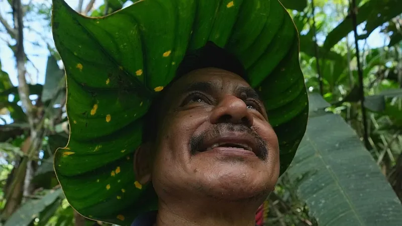 Una familia lucha por salvar plantas en peligro en la Amazonia sin apoyos oficiales