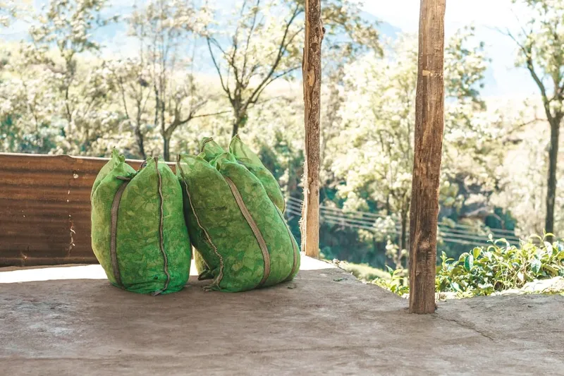 La Cumbre de Sostenibilidad y el Futuro Energético de Europa