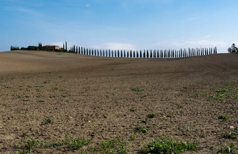 El Francés Gusta en Kazajistán: Impulso de la Primavera de la Francofonía