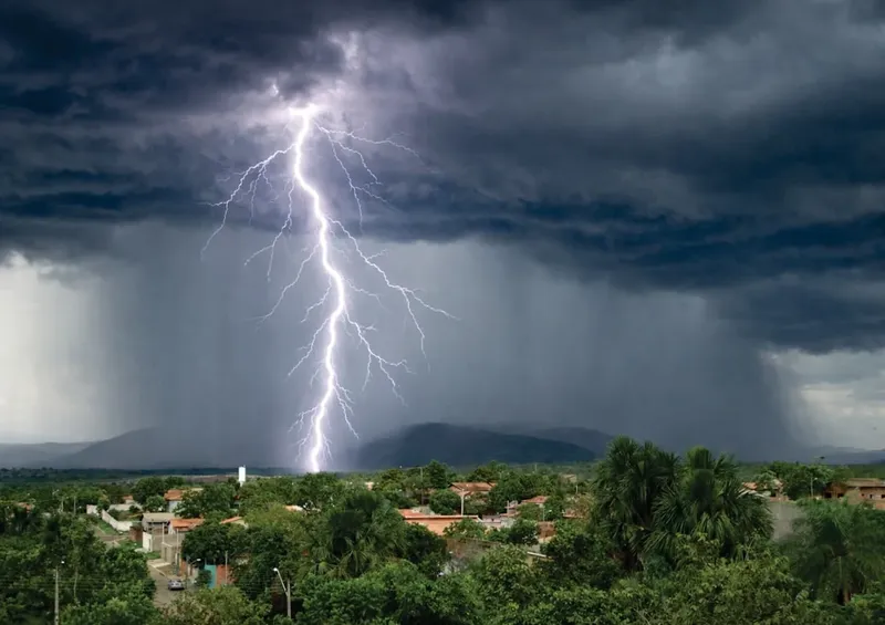 Estudio sobre estrés prenatal y desarrollo infantil