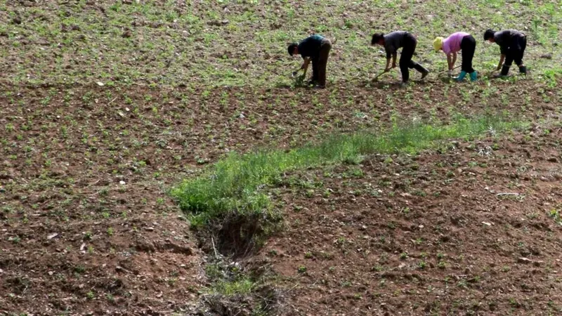Corea del Norte enfrenta una sequía sin precedentes