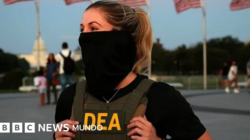 Pandillas en EE.UU.: El papel de las redes locales en el tráfico de drogas