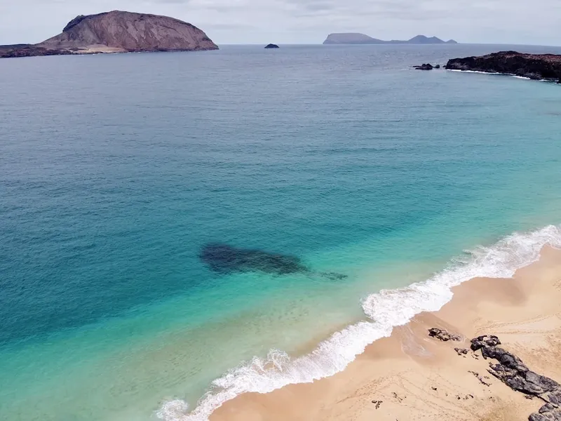 España acogerá al crucero afectado por hantavirus en las Islas Canarias