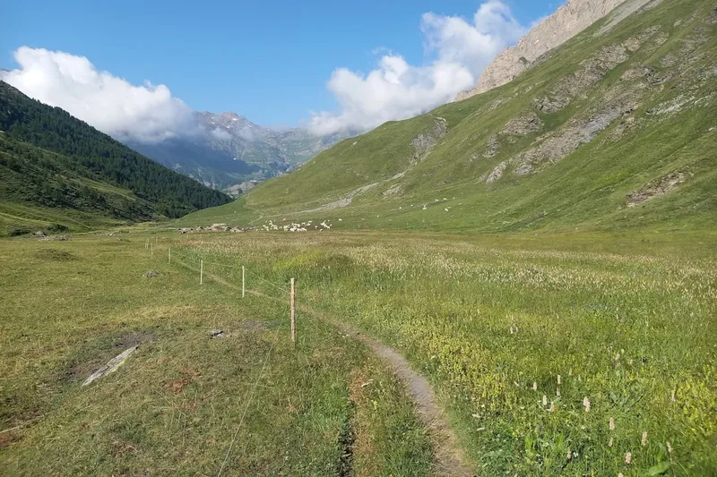 Cambios Estratégicos en Japón: Exportaciones de Armamento Letal para Fortalecer Alianzas