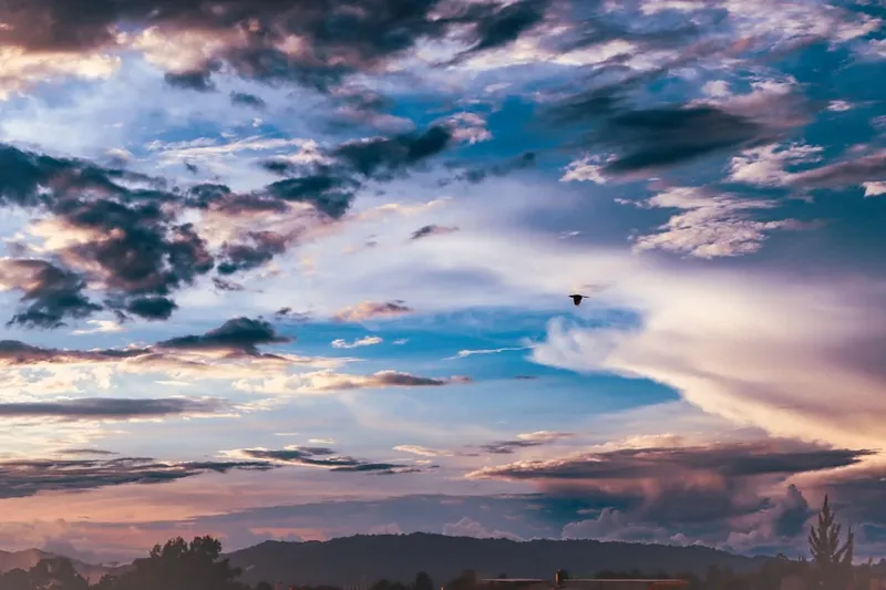 El Festival Internacional de Cometas de Berck-sur-Mer