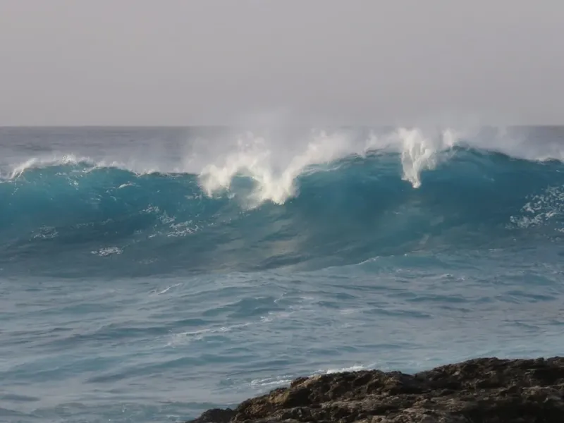 El Valor del Activismo en el Congo: Una Llamada a la Acción